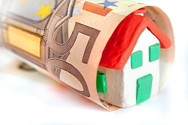 une petite maison entourée de 50 euros