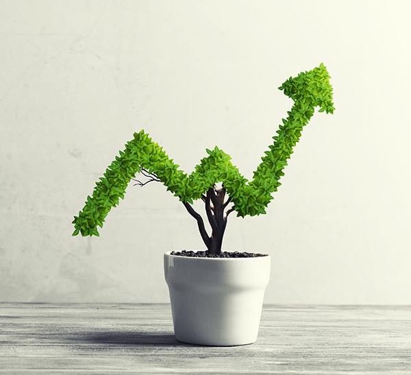 une plante sous forme de graphique